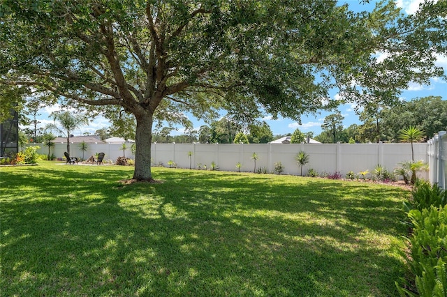 3612 SE 47th Ter, Ocala, FL 34480 - view of yard
