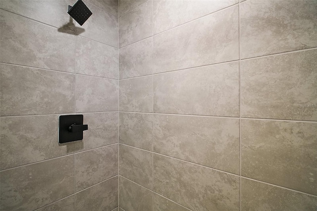 20 Emerald Trl, Ocala, FL 34472 - bathroom view of a tile shower