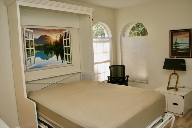 8735 SW 192nd Court Rd, Dunnellon, FL 34432 - bedroom featuring light wood-style flooring