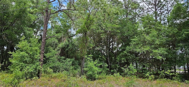 TBD NW 52nd Ave, Ocala, FL 34482