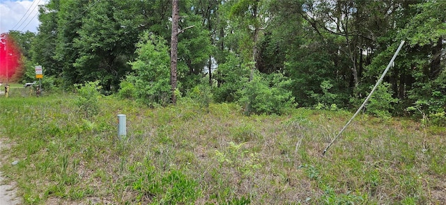 TBD NW 52nd Ave, Ocala, FL 34482