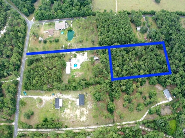 TBD NE 105th St, Fort Mc Coy, FL 32134