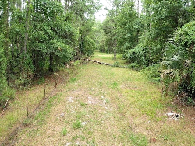 TBD NE 105th St, Fort Mc Coy, FL 32134