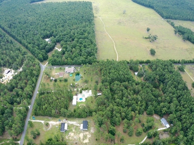 TBD NE 105th St, Fort Mc Coy, FL 32134