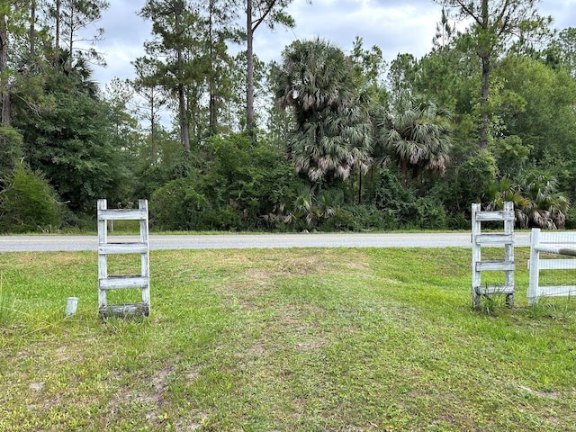 TBD NE 105th St, Fort Mc Coy, FL 32134