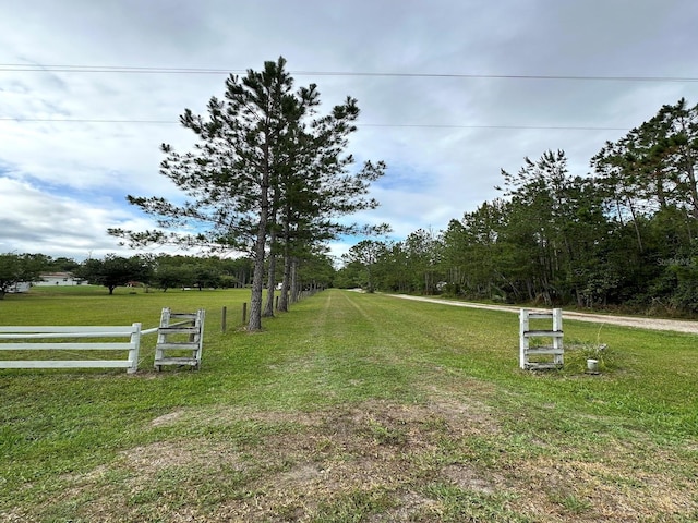 TBD NE 105th St, Fort Mc Coy, FL 32134