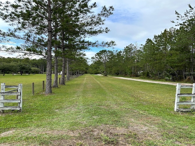 TBD NE 105th St, Fort Mc Coy, FL 32134