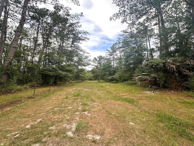 TBD NE 105th St, Fort Mc Coy, FL 32134