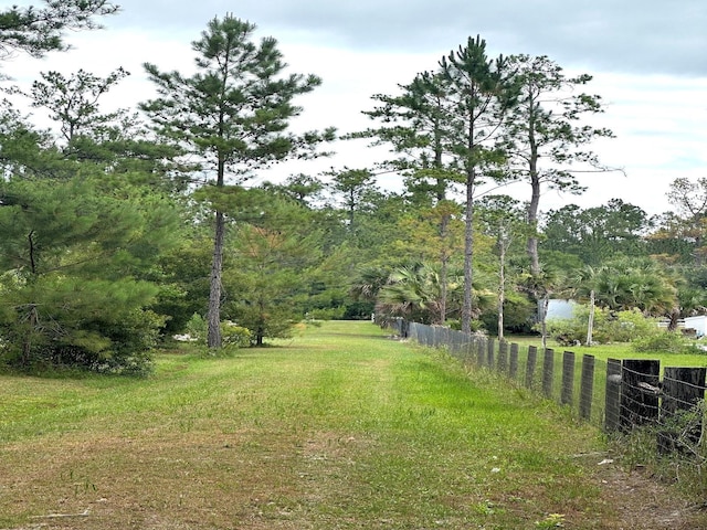 TBD NE 105th St, Fort Mc Coy, FL 32134