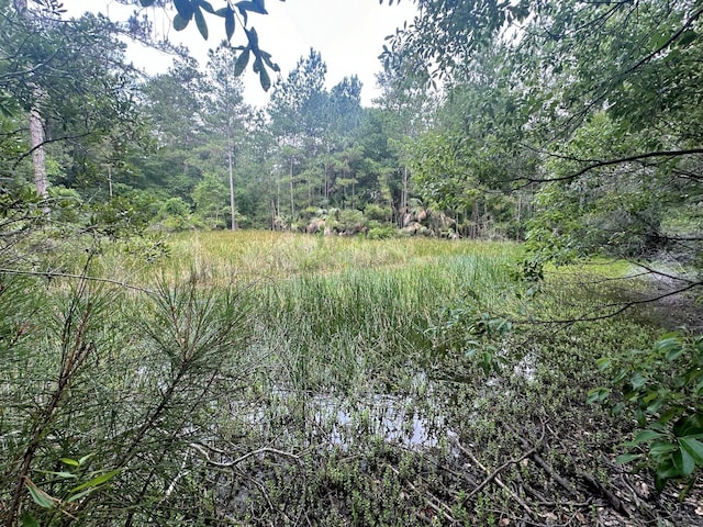 TBD NE 105th St, Fort Mc Coy, FL 32134