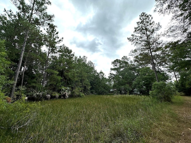 TBD NE 105th St, Fort Mc Coy, FL 32134