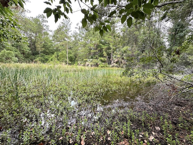 TBD NE 105th St, Fort Mc Coy, FL 32134