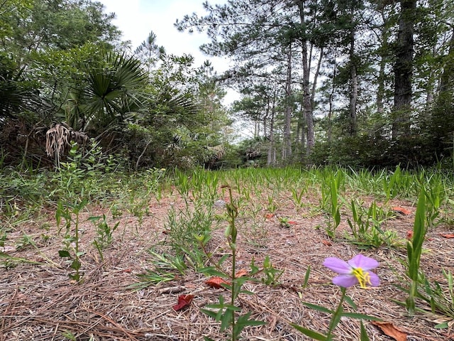TBD NE 105th St, Fort Mc Coy, FL 32134