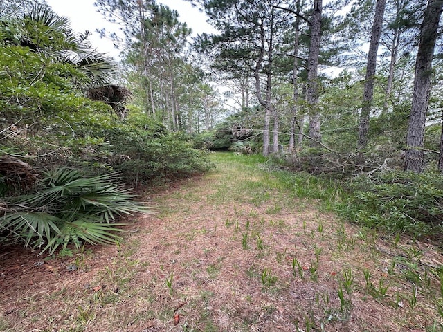 TBD NE 105th St, Fort Mc Coy, FL 32134
