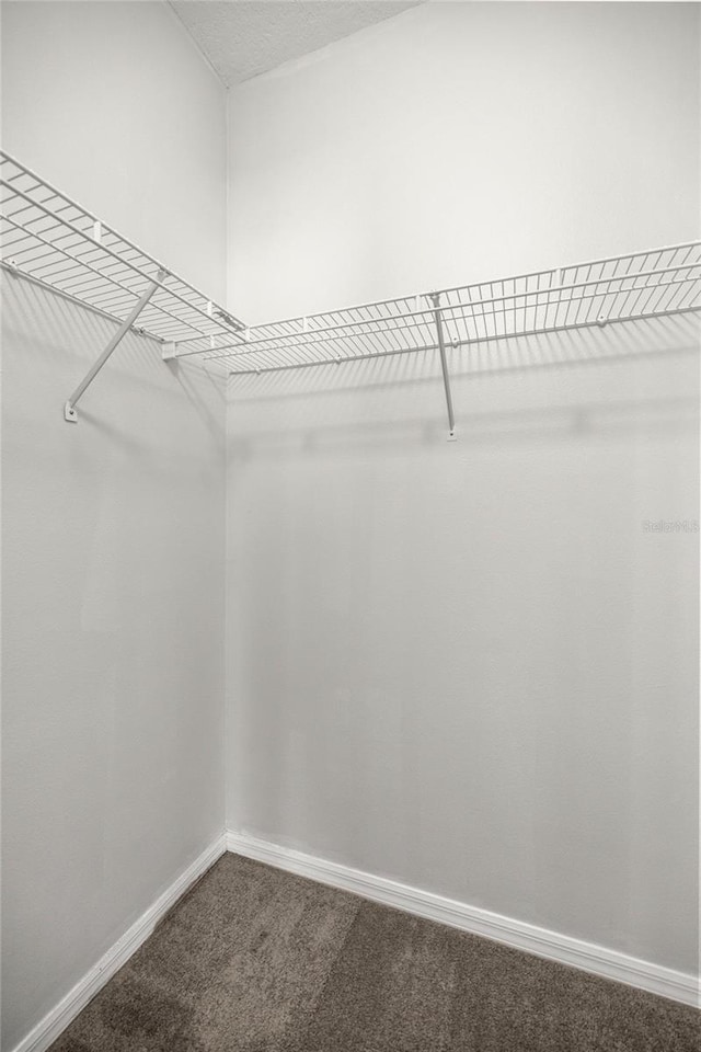 785 W Toucan Loop, Hernando, FL 34442 - walk in closet with dark colored carpet