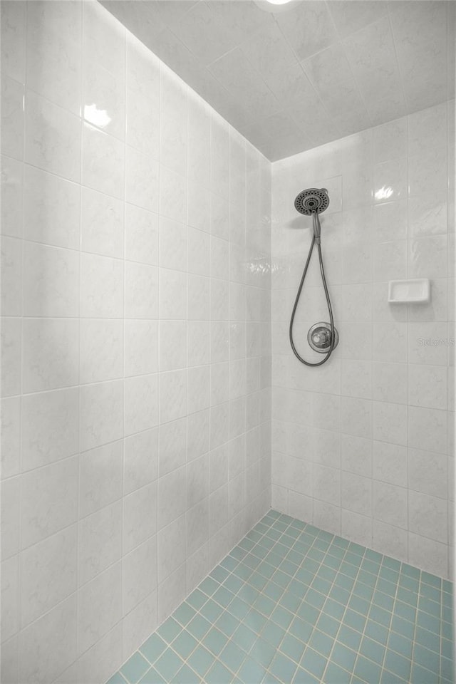 785 W Toucan Loop, Hernando, FL 34442 - bathroom with tiled shower