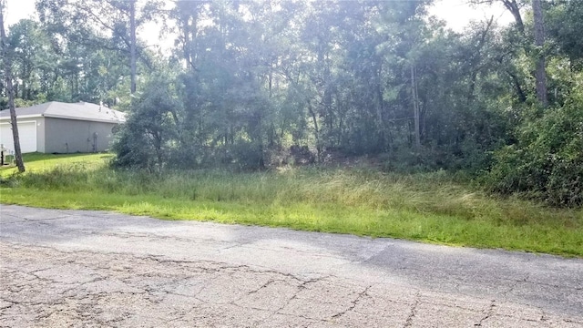 8844 N Lily Dr, Citrus Springs, FL 34434