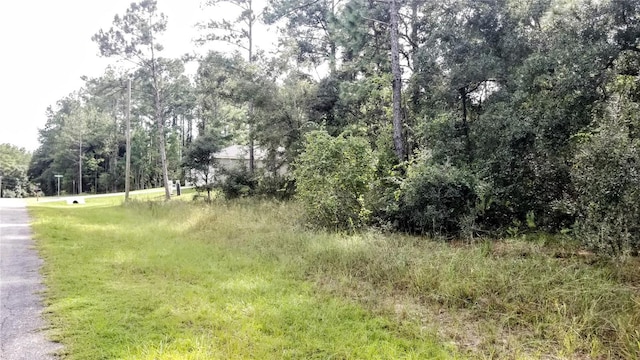 8844 N Lily Dr, Citrus Springs, FL 34434