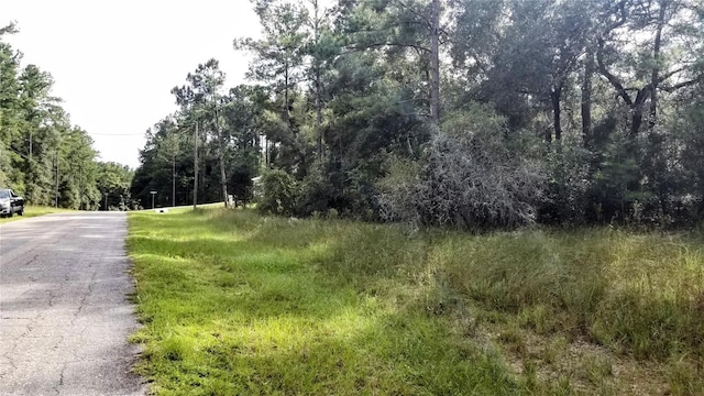 8844 N Lily Dr, Citrus Springs, FL 34434