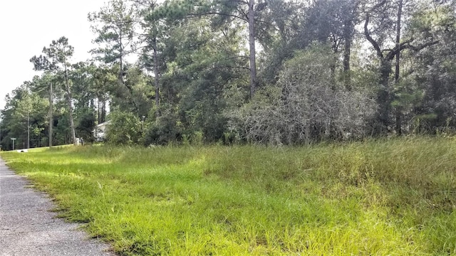 8844 N Lily Dr, Citrus Springs, FL 34434