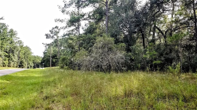 8844 N Lily Dr, Citrus Springs, FL 34434
