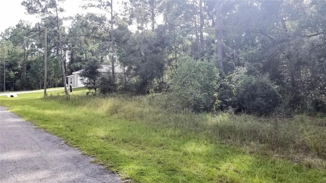8844 N Lily Dr, Citrus Springs, FL 34434