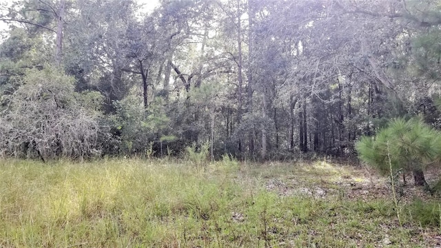 8844 N Lily Dr, Citrus Springs, FL 34434