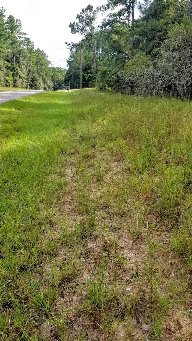 8844 N Lily Dr, Citrus Springs, FL 34434