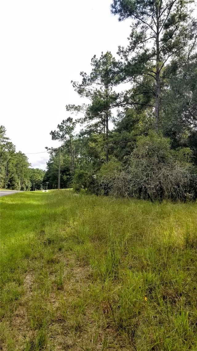 8844 N Lily Dr, Citrus Springs, FL 34434