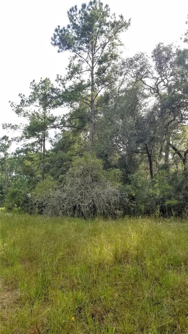 8844 N Lily Dr, Citrus Springs, FL 34434