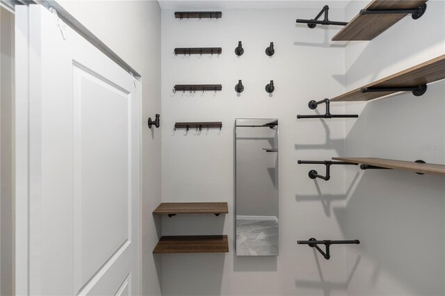 5248 Red Coral Cir, Mount Dora, FL 32757 - view of walk in closet