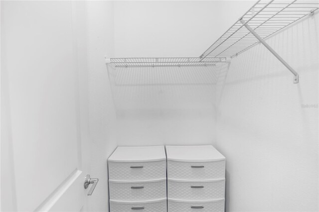 5248 Red Coral Cir, Mount Dora, FL 32757 - view of walk in closet
