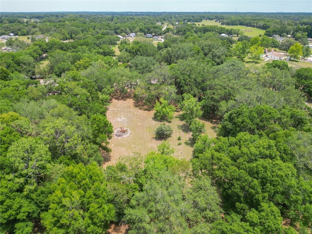 2580 SE 157th Lane Rd, Summerfield, FL 34491 - aerial view of property's location with a heavily wooded area