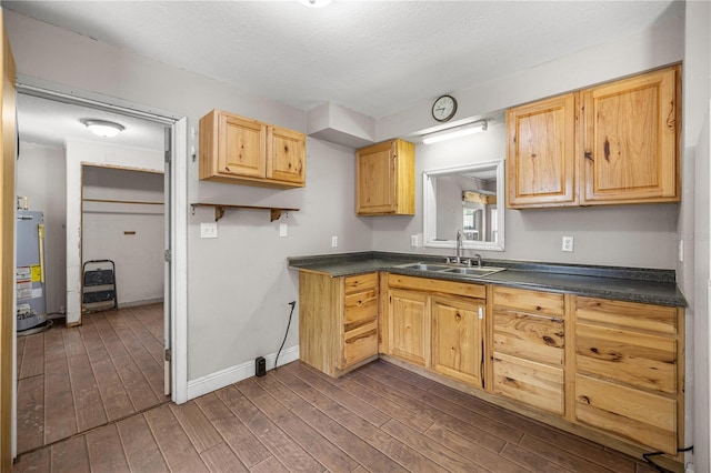 1014 NE 12th St, Ocala, FL 34470 - kitchen featuring gas water heater, a sink, dark countertops, dark wood finished floors, and light brown cabinetry