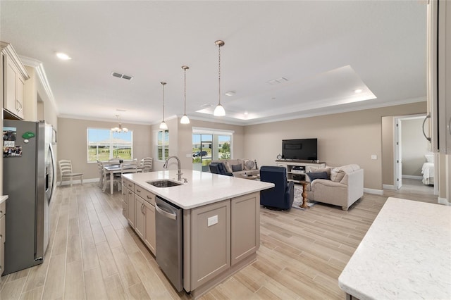 10451 SW 98th Place Rd, Ocala, FL 34481 - kitchen with stainless steel appliances, a sink, light wood-style floors, crown molding, and a raised ceiling