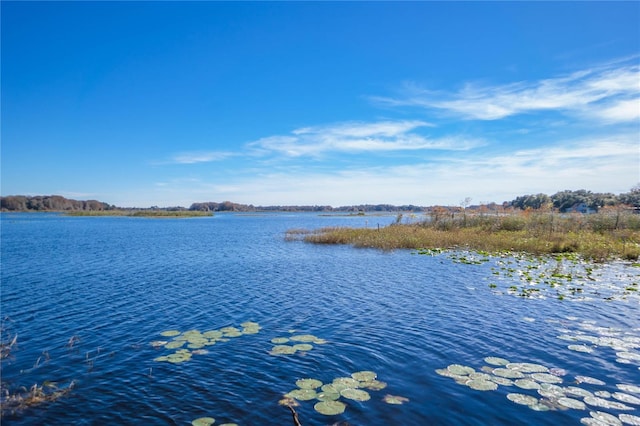 3656 E Lake Todd Dr, Hernando, FL 34442 - water view