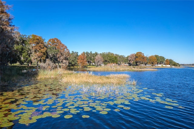 3656 E Lake Todd Dr, Hernando, FL 34442 - water view