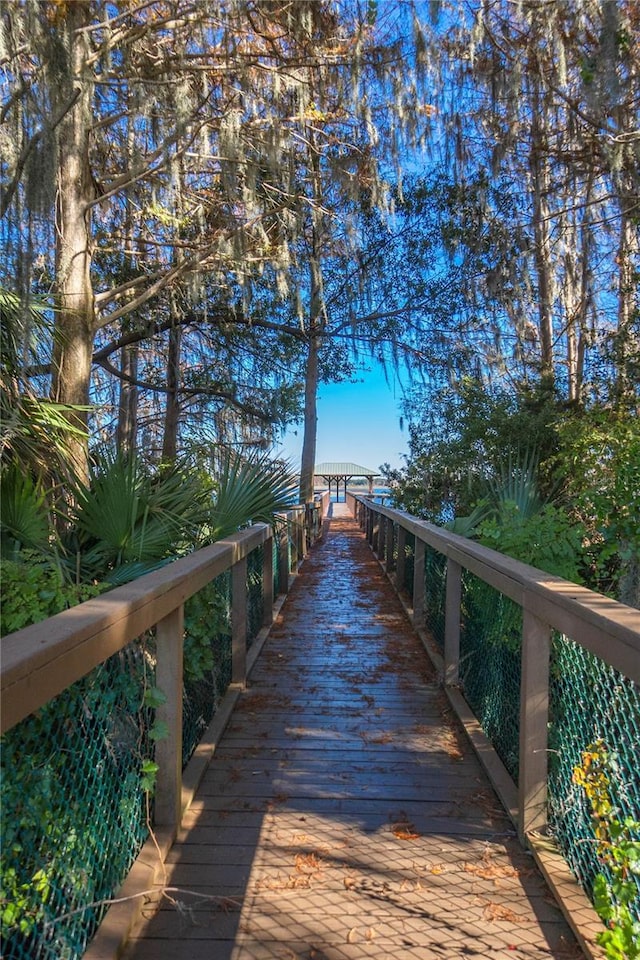 3656 E Lake Todd Dr, Hernando, FL 34442 - view of surrounding community