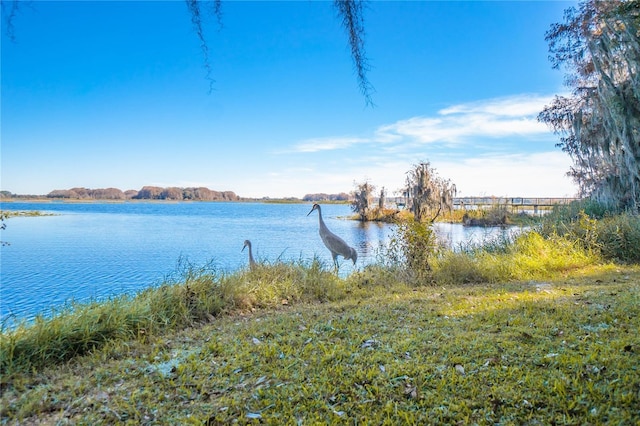 3656 E Lake Todd Dr, Hernando, FL 34442 - water view