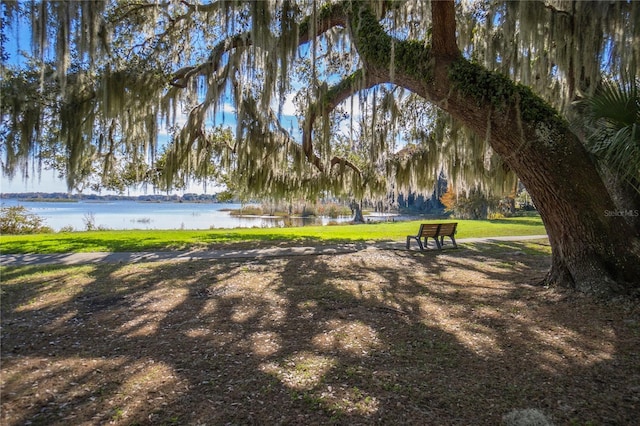 3656 E Lake Todd Dr, Hernando, FL 34442 - view of home's community with a water view and a lawn
