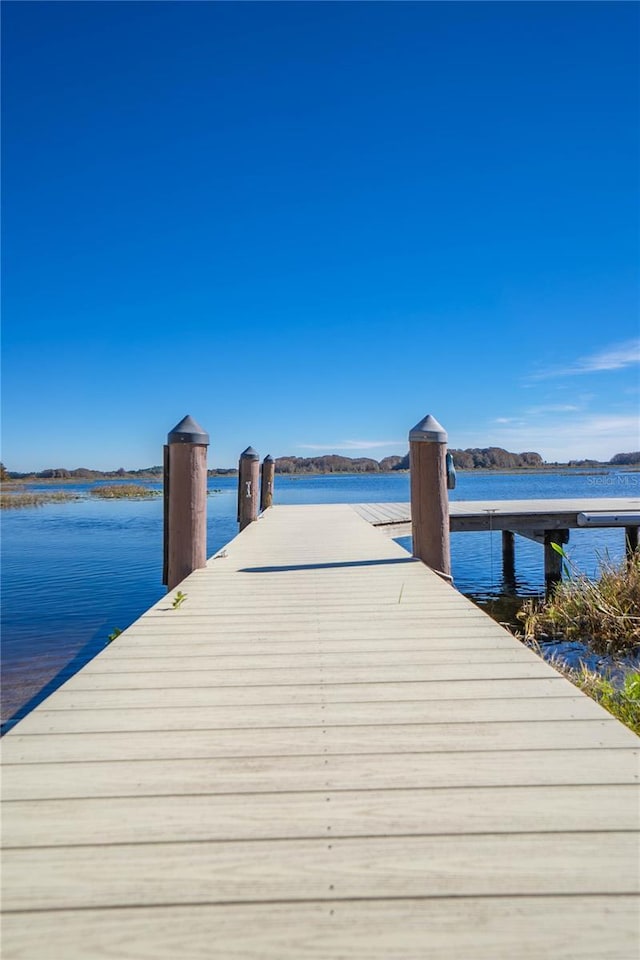 3656 E Lake Todd Dr, Hernando, FL 34442 - dock with a water view