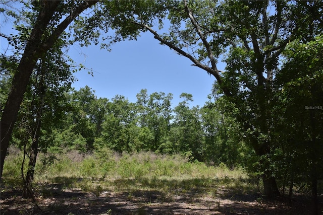 21312 NE 69th Pl, Melrose, FL 32666 - photo 3