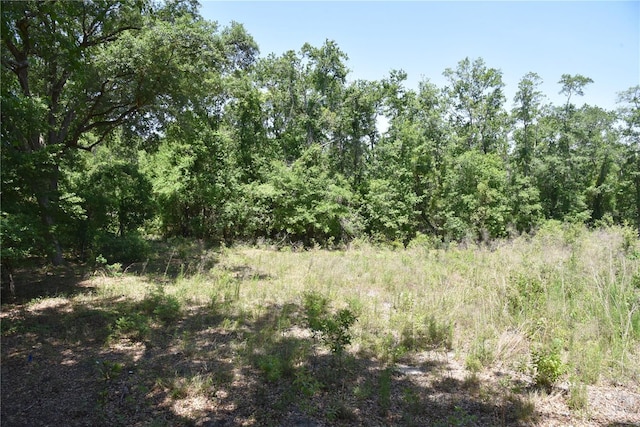 21312 NE 69th Pl, Melrose, FL 32666 - photo 4