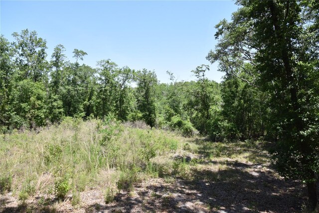 21312 NE 69th Pl, Melrose, FL 32666 - photo 5