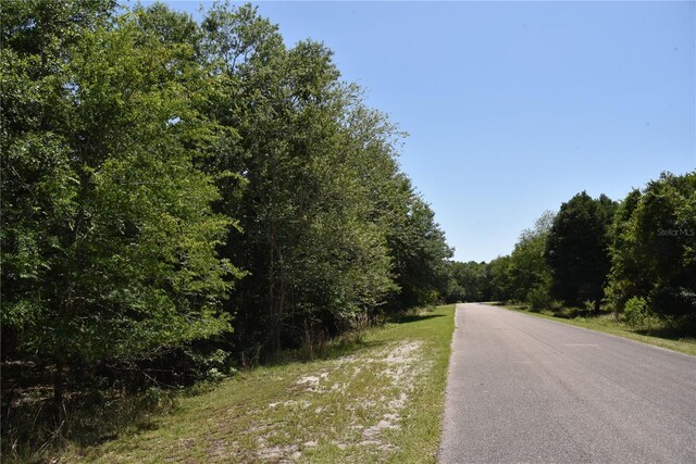 21312 NE 69th Pl, Melrose, FL 32666 - photo 7