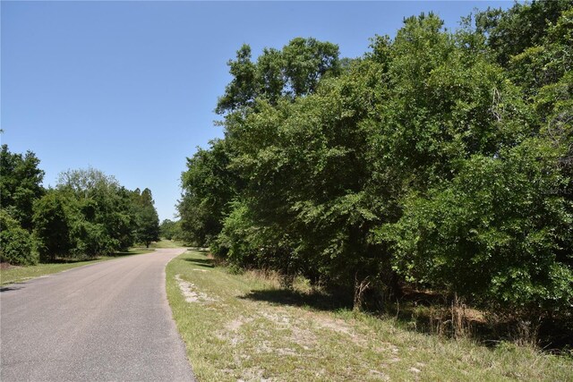 21312 NE 69th Pl, Melrose, FL 32666 - photo 8