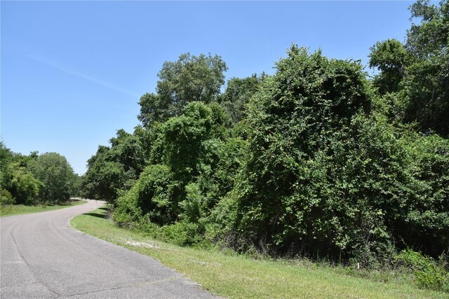 21312 NE 69th Pl, Melrose, FL 32666 - photo 18