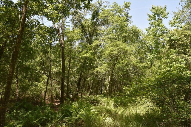 21312 NE 69th Pl, Melrose, FL 32666 - photo 22
