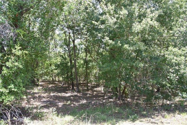 21312 NE 69th Pl, Melrose, FL 32666 - photo 23