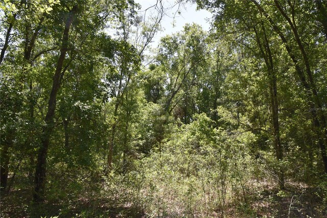 21312 NE 69th Pl, Melrose, FL 32666 - photo 25